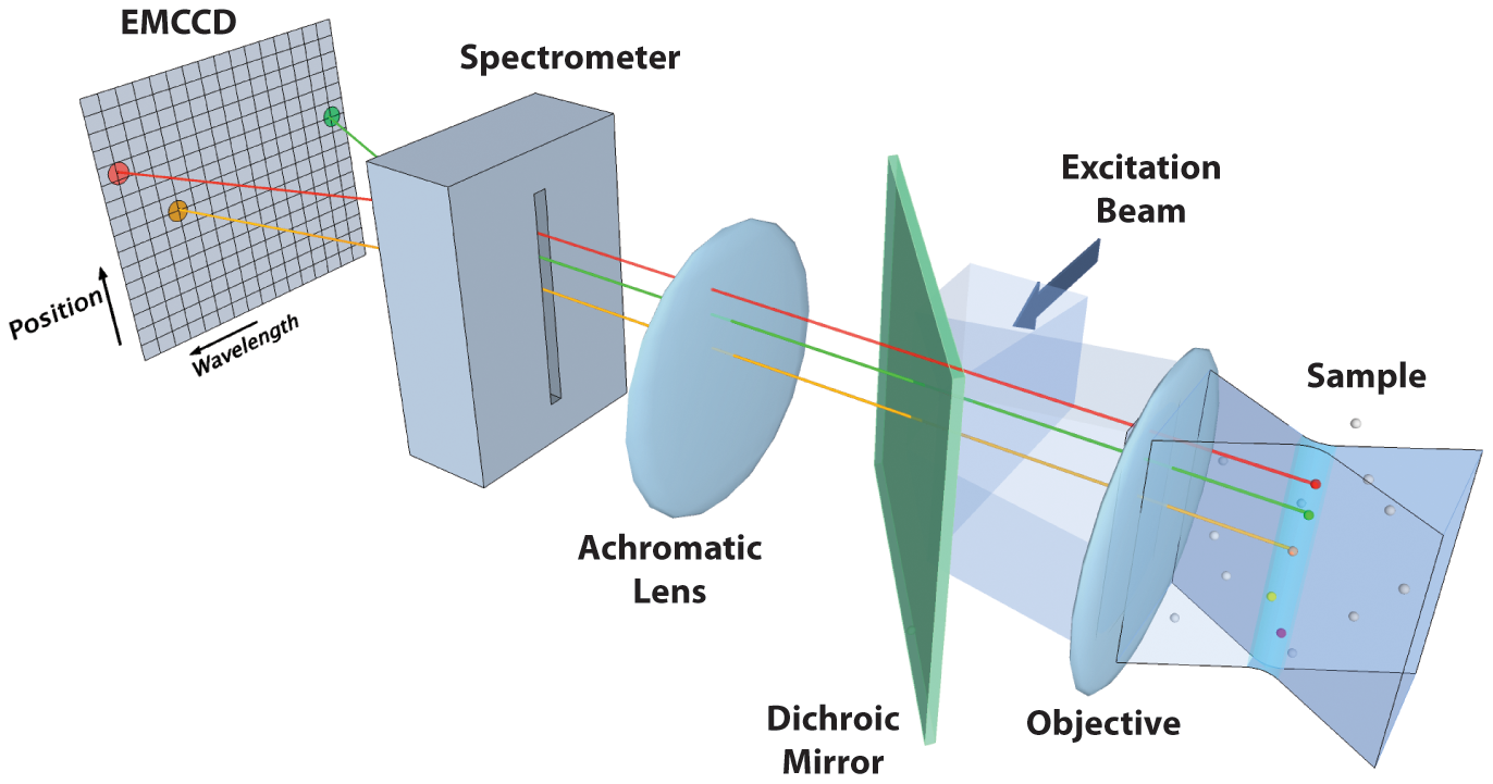 Multi-Color Quantum Dot Tracking Using a High-Speed Hyperspectral Line-Scanning Microscope