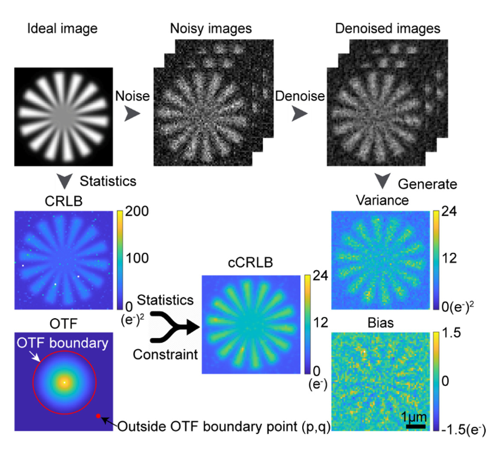 Variance lower bound on fluorescence microscopy image denoising