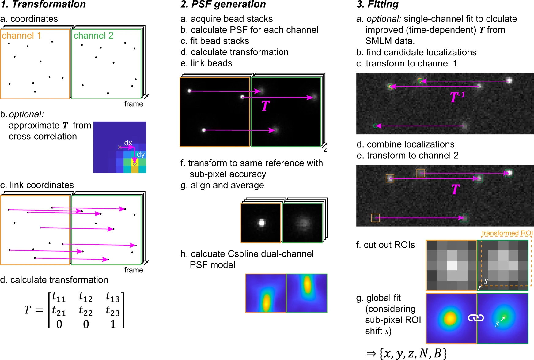 Global fitting for high-accuracy multi-channel single-molecule localization