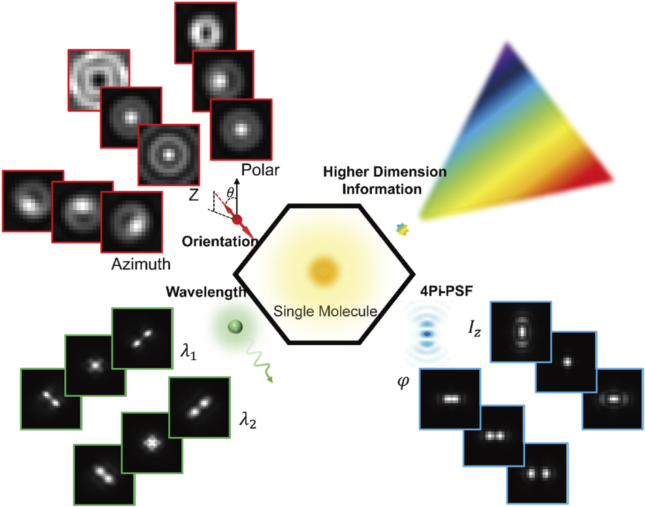 Fast and universal single-molecule localization using multi-dimensional point spread functions