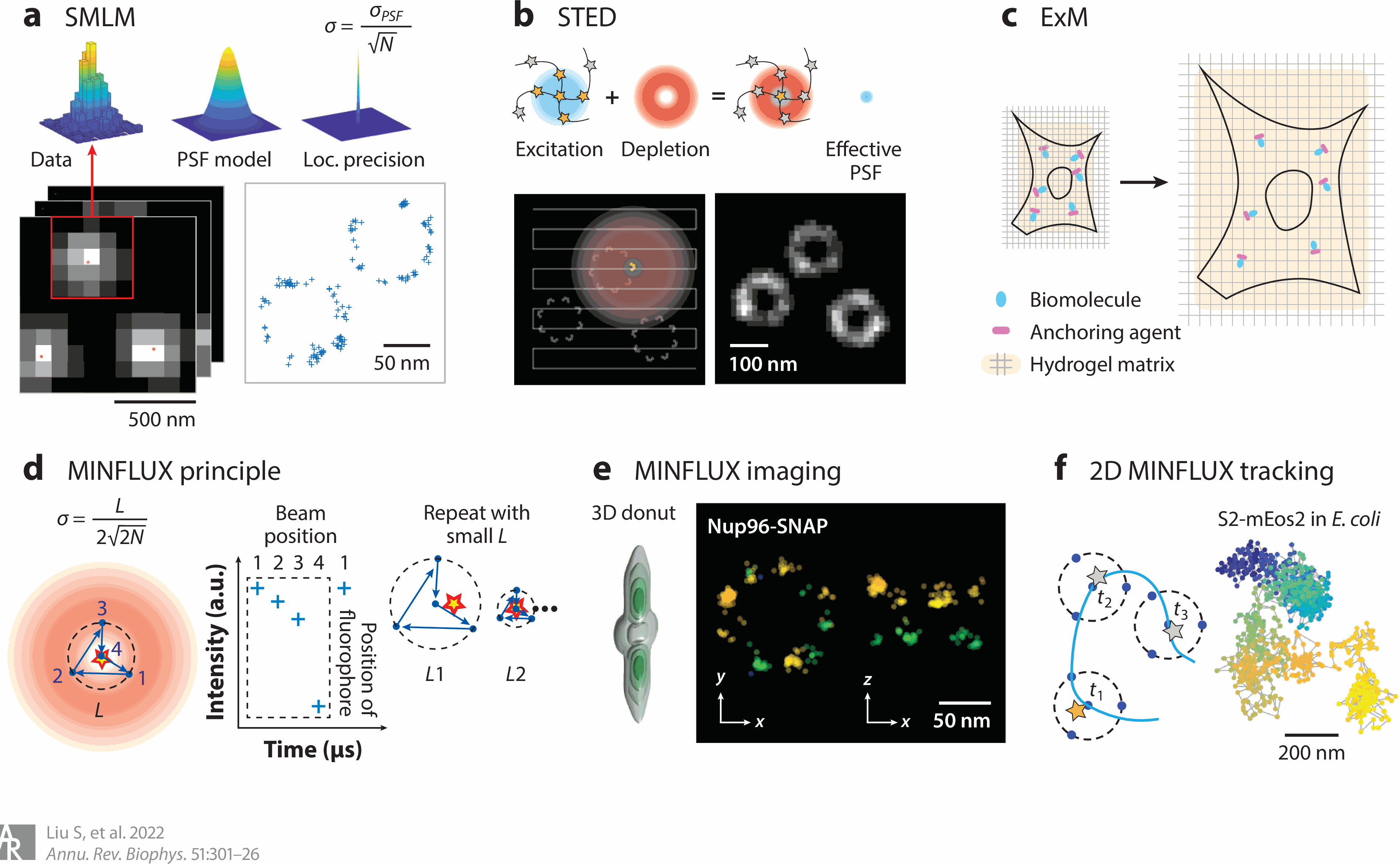 Super-Resolution Microscopy for Structural Cell Biology