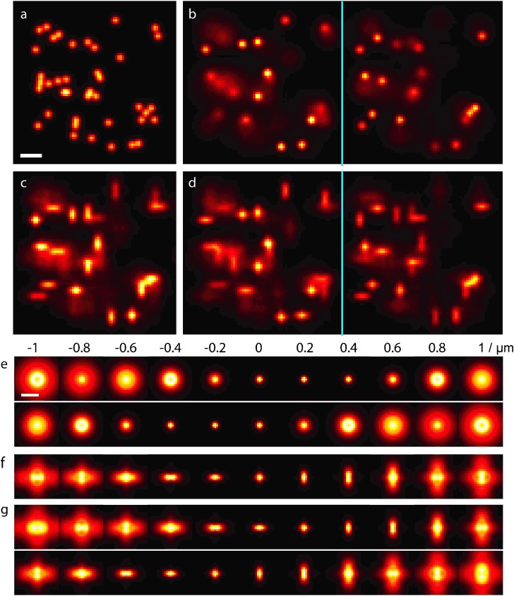 A Multiemitter Localization Comparison of 3D Superresolution Imaging Modalities