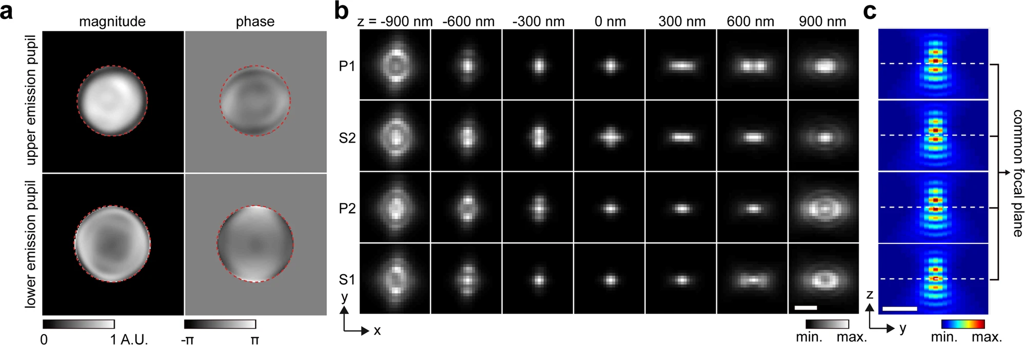 Enhanced 4Pi single-molecule localization microscopy with coherent pupil based localization