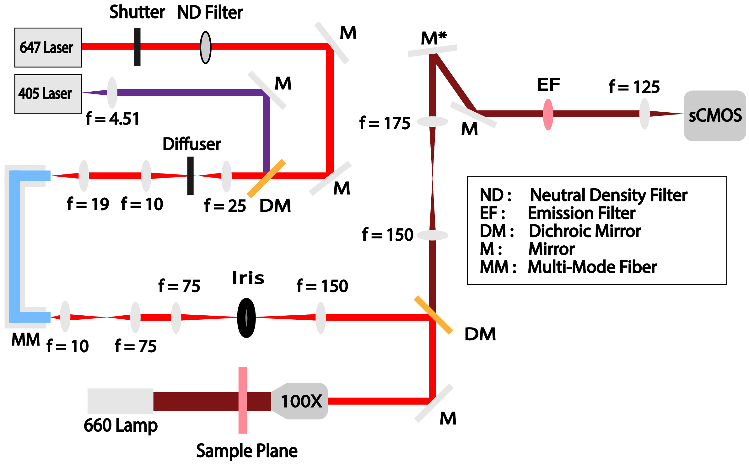 Automated multi-target super-resolution microscopy with trust regions